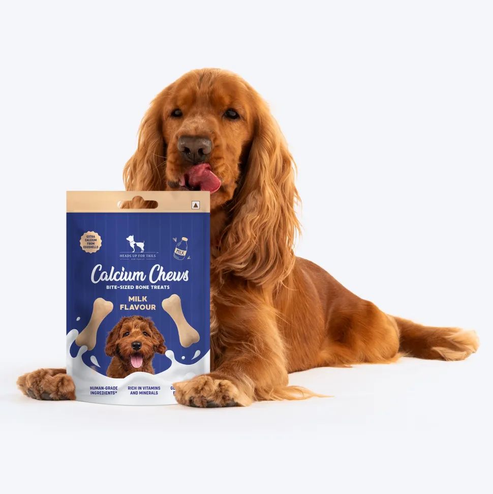 HUFT Calcium Chews Bite-Sized Bone Treats For Dog - Milk Flavour - 200 gm