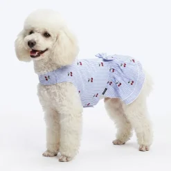 HUFT Cherie Cherry Stripe Dress For Dog - Blue & White