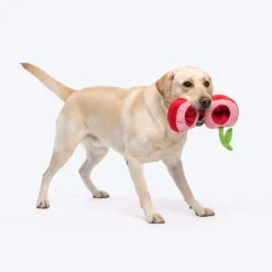 HUFT Cherrylicious Plush Toy With Ball For Dog - Red