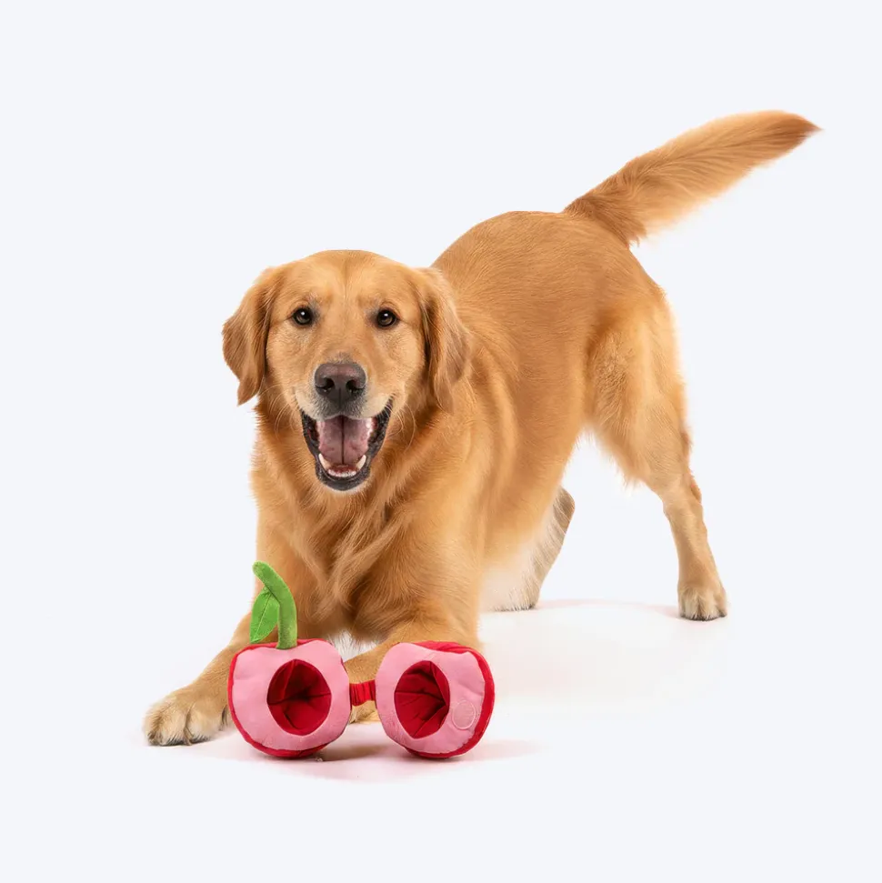 HUFT Cherrylicious Plush Toy With Ball For Dog - Red