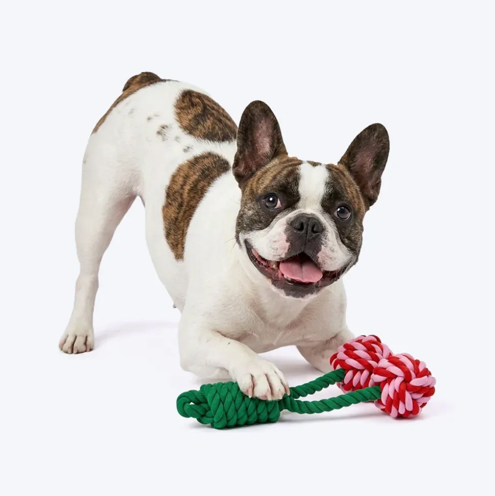 HUFT Cherrylicious Rope Toy For Dog - Multicolor