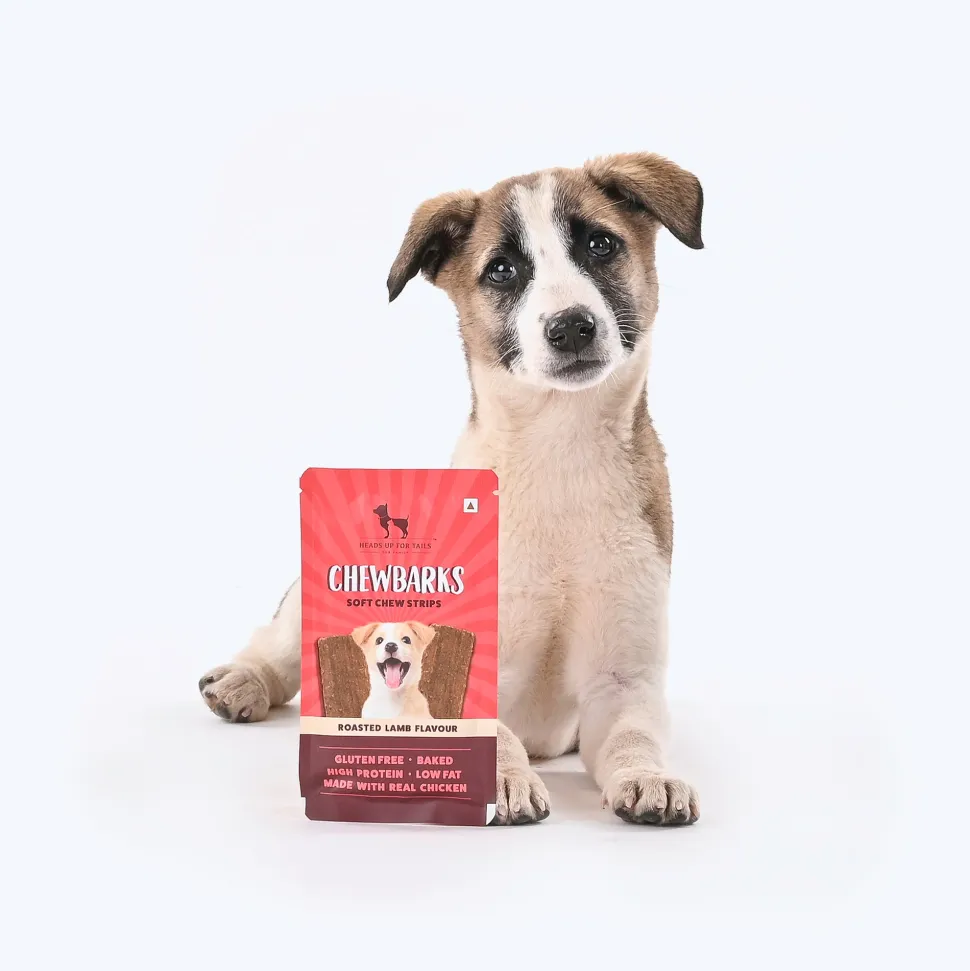 HUFT Chewbarks Dog Soft Chew Strips Treats - Roasted Lamb - 30 gm