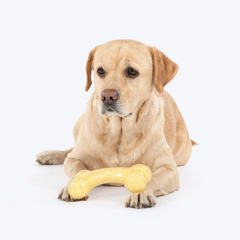 HUFT Chewtastic Chomp Champ Bone Chew Toy For Dog - Yellow