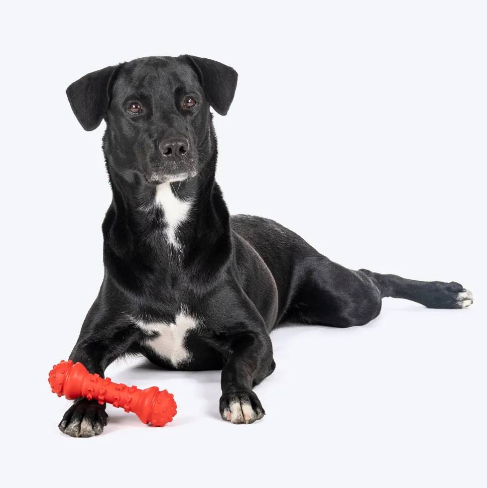 HUFT Chewtastics Rolley Chew Toy For Dog - Red