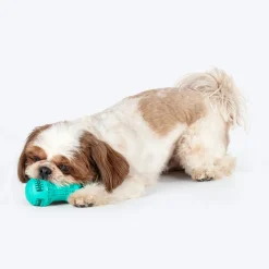 HUFT Chewtastic Striker Chew Dog Toy - Mint Green