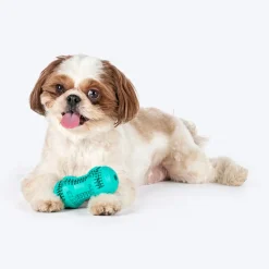 HUFT Chewtastic Striker Chew Dog Toy - Mint Green