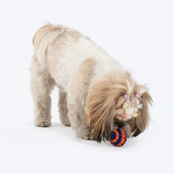 HUFT Chewtastic Treat Maze Chew Toy For Dog - Orange & Blue