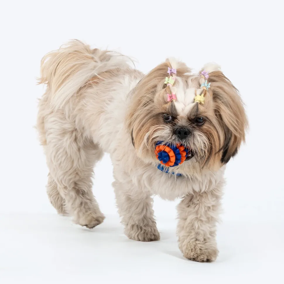 HUFT Chewtastic Treat Maze Chew Toy For Dog - Orange & Blue