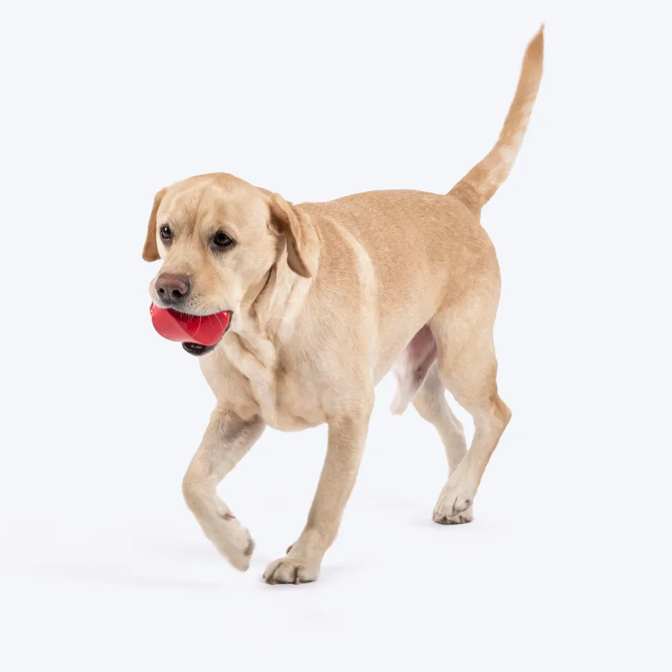 HUFT Chewtastic Treat Tumbler Chew Toy For Dog - Red