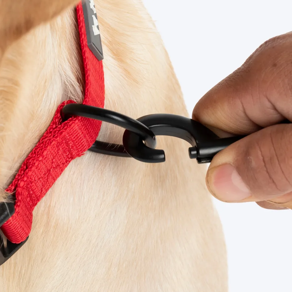 HUFT Classic Collar For Dog - Cherry Red