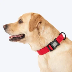 HUFT Classic Collar For Dog - Cherry Red