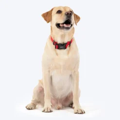 HUFT Classic Collar For Dog - Cherry Red