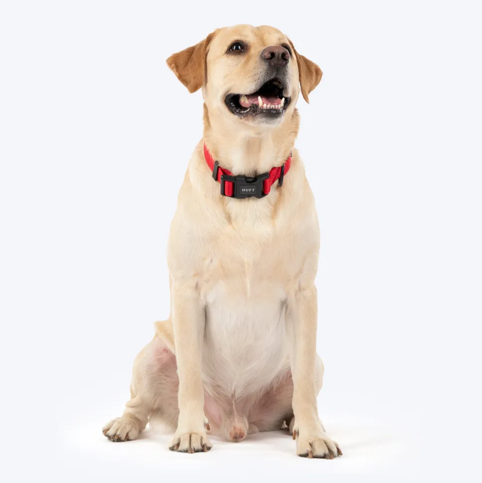 HUFT Classic Collar For Dog - Cherry Red