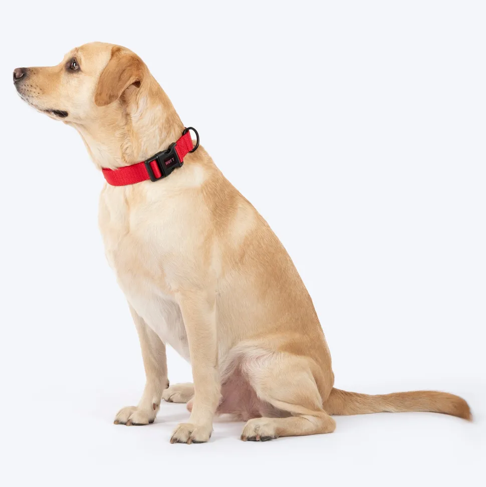 HUFT Classic Collar For Dog - Cherry Red