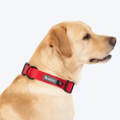 HUFT Classic Collar For Dog - Cherry Red