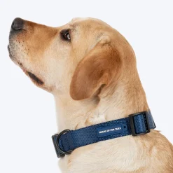 HUFT Classic Collar For Dog - Navy