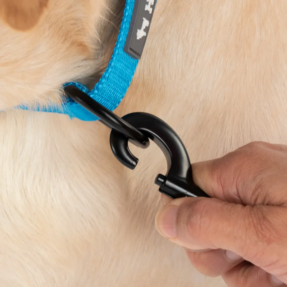 HUFT Classic Collar For Dog - Ocean Blue