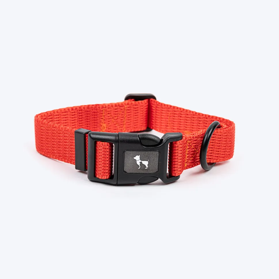 HUFT Classic Collar For Dog - Rust Orange