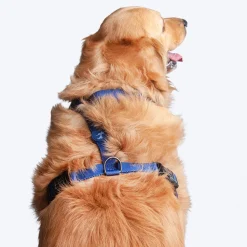 HUFT Classic Dog H-Harness - Navy