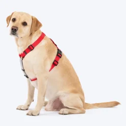 HUFT Classic H Harness For Dog - Cherry Red