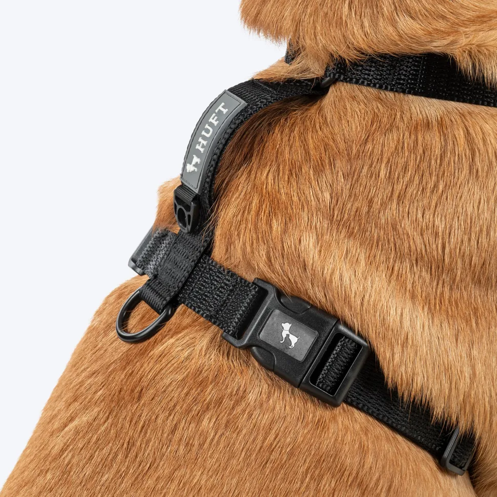 HUFT Classic H Harness For Dog - Coal Black