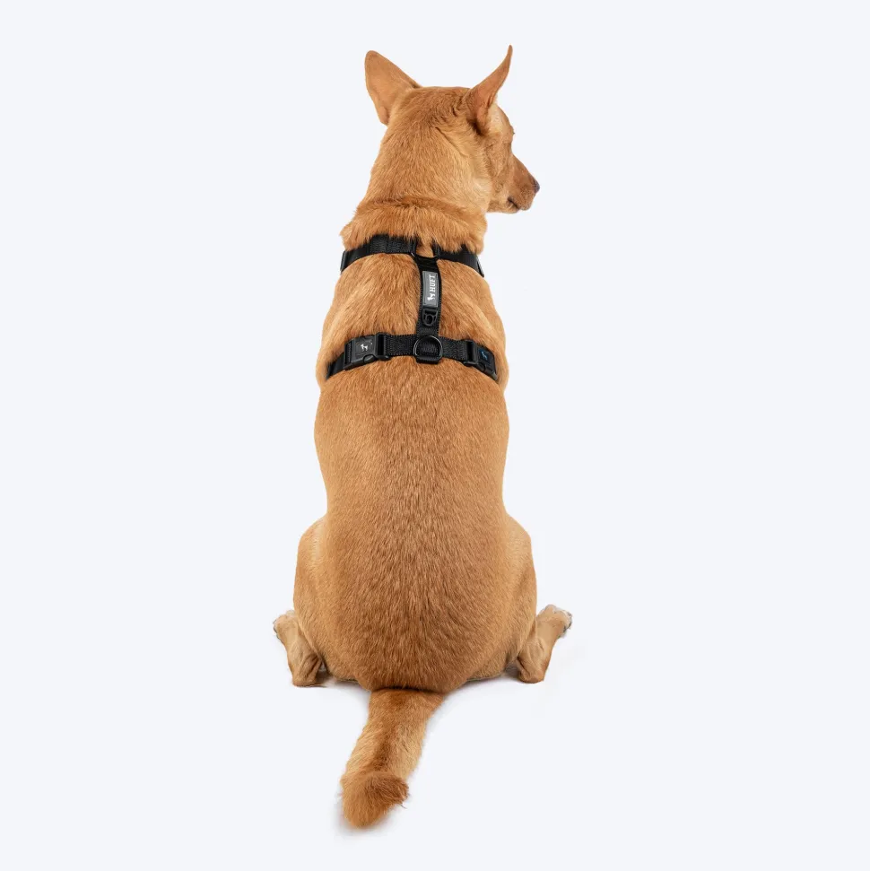 HUFT Classic H Harness For Dog - Coal Black