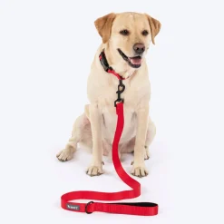 HUFT Classic Leash For Dog - Cherry Red