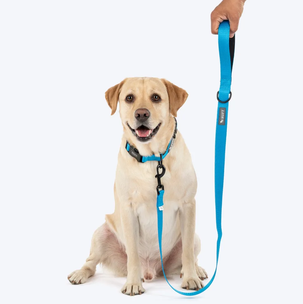 HUFT Classic Leash For Dog - Ocean Blue