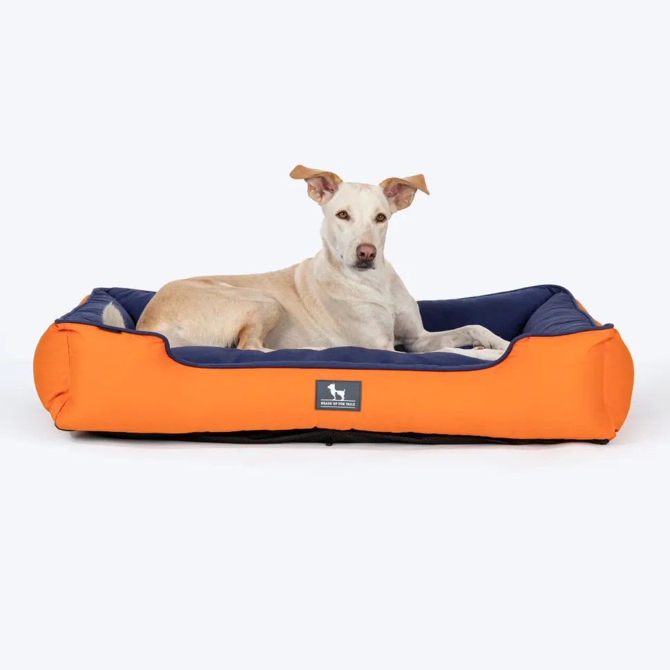 HUFT Classic Lounger Dog Bed - Orange & Blue