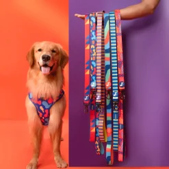 HUFT Crimson Thrill Printed Dog Leash