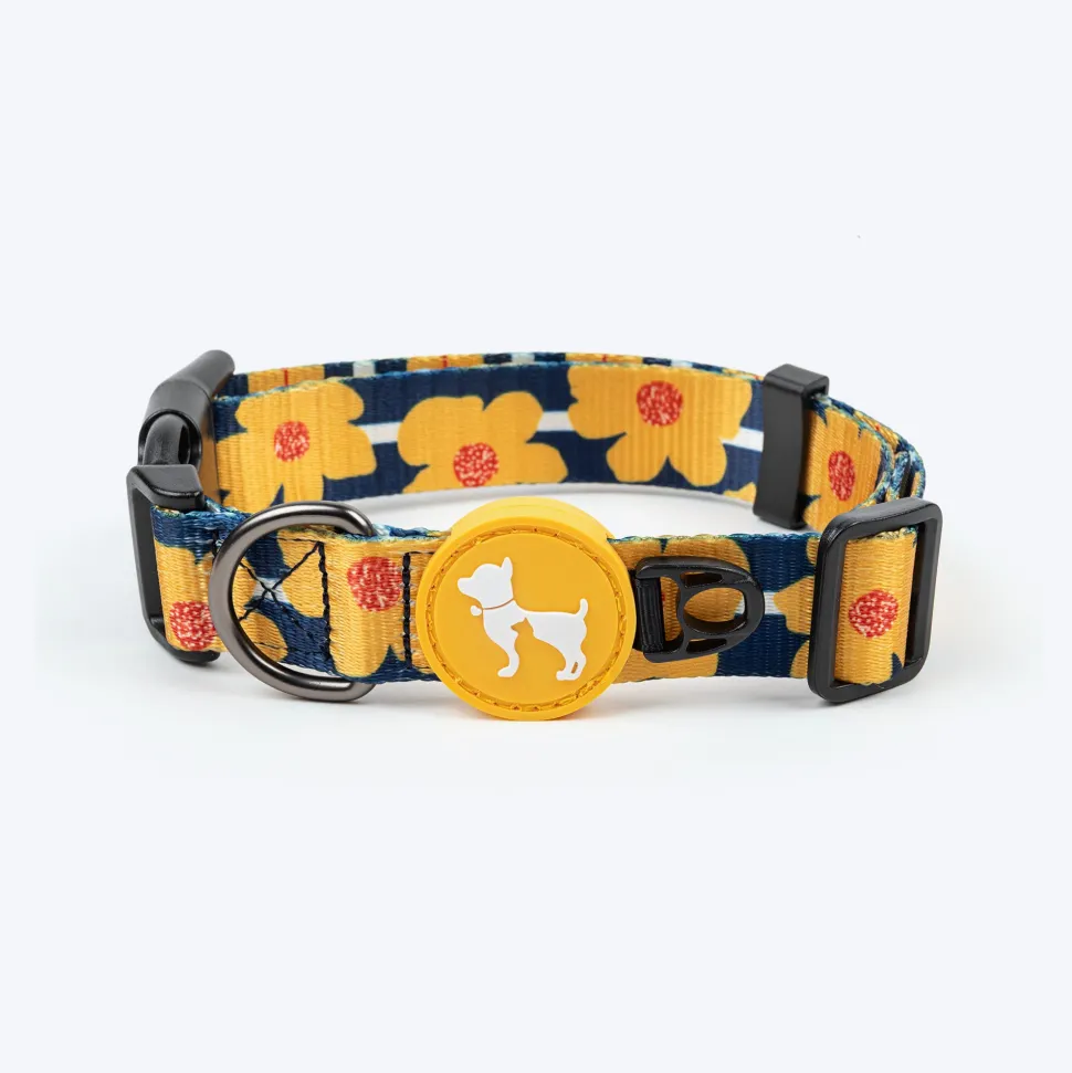 HUFT Daisy Stripes Collar For Dog - Blue & Yellow