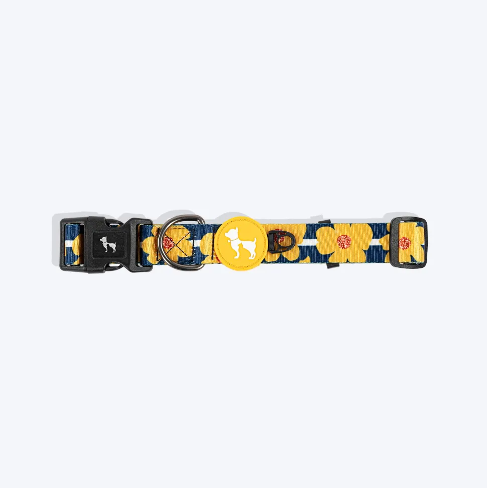 HUFT Daisy Stripes Collar For Dog - Blue & Yellow