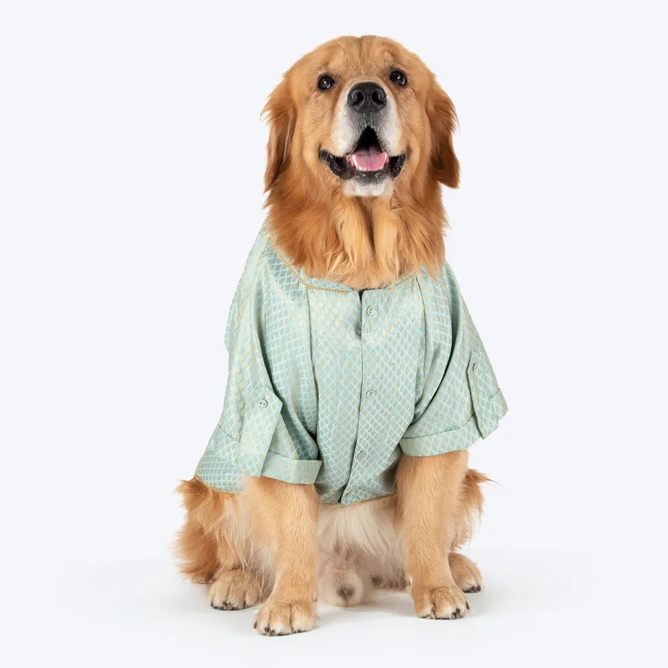 HUFT Dapper Doggo Kurta For Dog - Light Blue