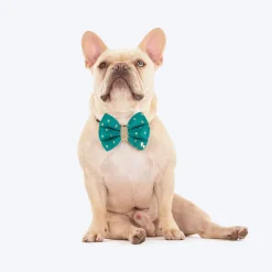HUFT Desi Dazzle Bow Tie For Dog - Green