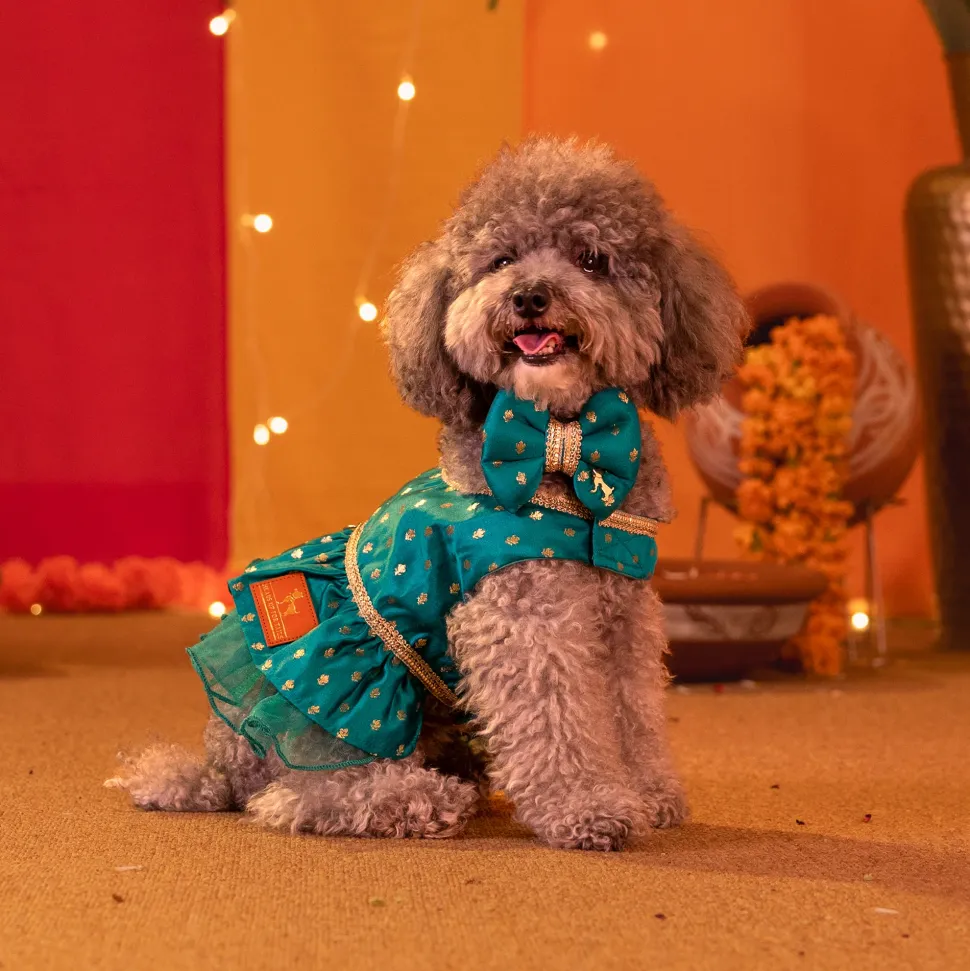 HUFT Desi Dazzle Bow Tie For Dog - Green