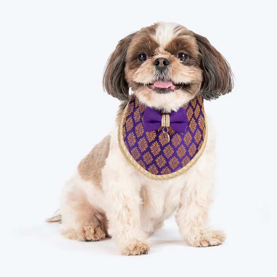HUFT Desi Regal Bandana For Dog - Violet