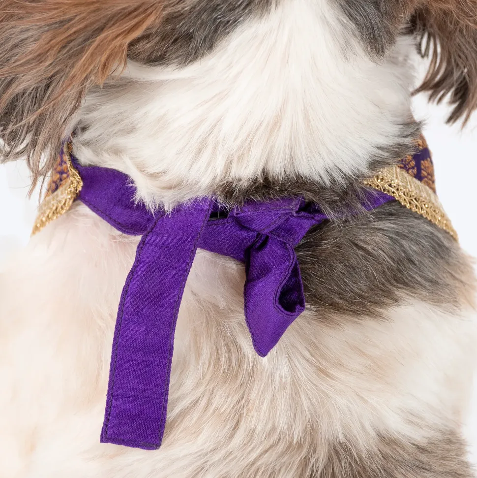 HUFT Desi Regal Bandana For Dog - Violet