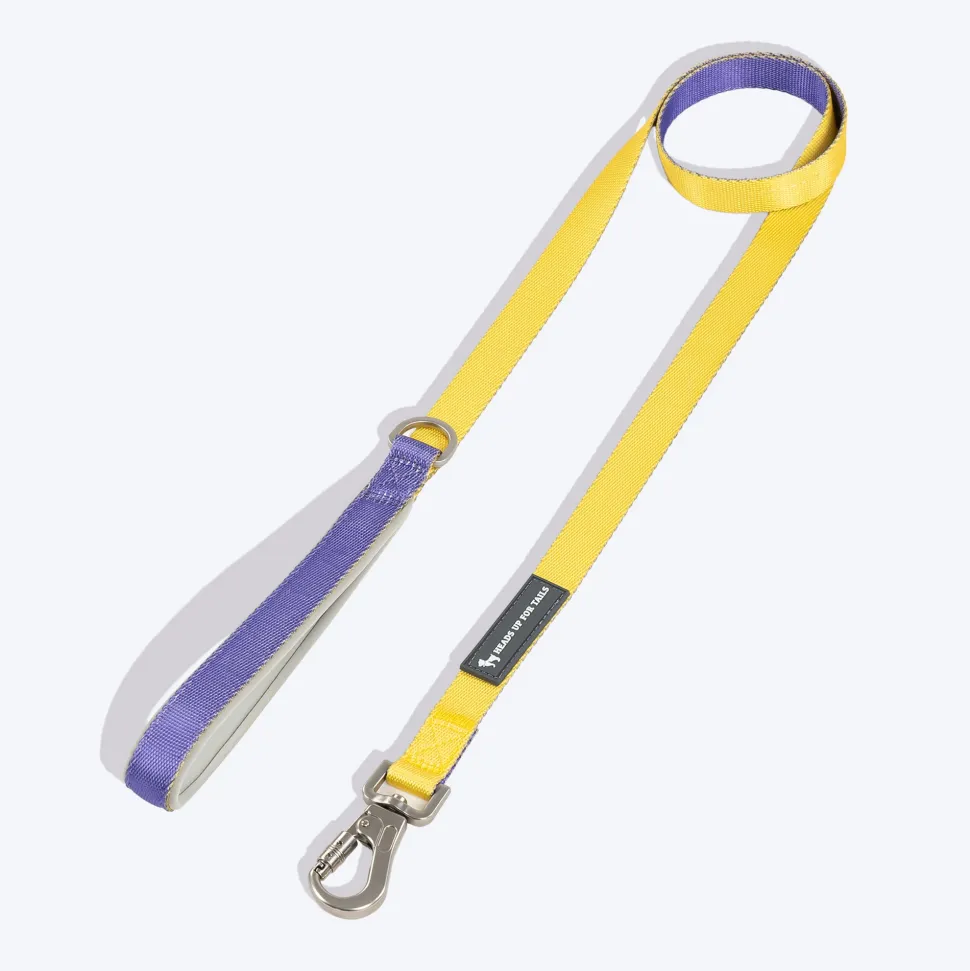 HUFT Dichromatic Leash For Dog - Yellow & Purple