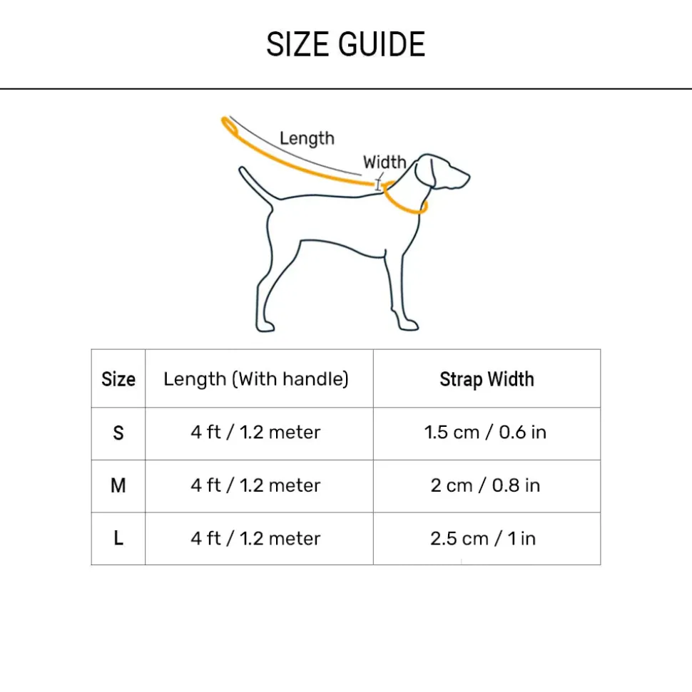 HUFT Dichromatic Leash For Dog - Turquoise & Yellow