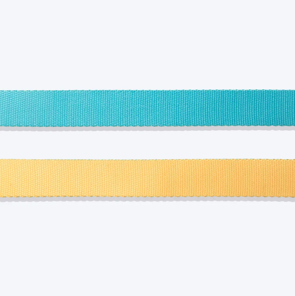 HUFT Dichromatic Leash For Dog - Turquoise & Yellow