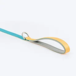 HUFT Dichromatic Leash For Dog - Turquoise & Yellow
