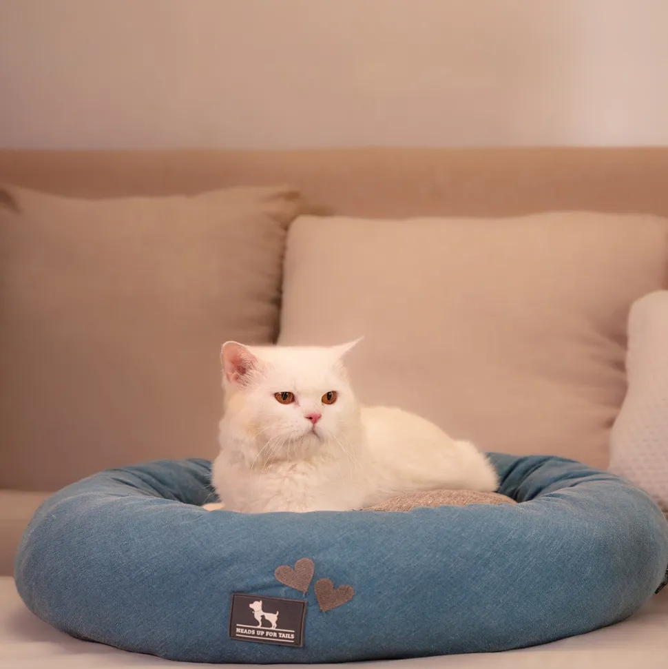 HUFT Dreamy Donut Bed For Cat & Puppy - Teal & Grey