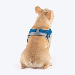 HUFT Easy Fit U-Harness For Dog - Blue