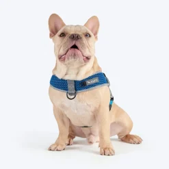HUFT Easy Fit U-Harness For Dog - Blue