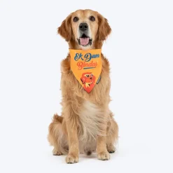 HUFT Ek Dum Bindas Bandana For Dog - Yellow