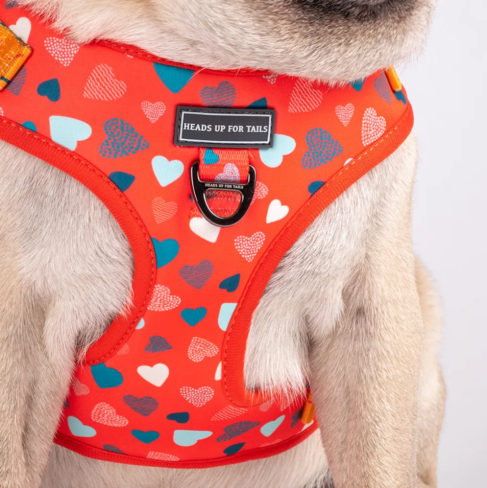 HUFT Endless Joy Printed Dog Harness