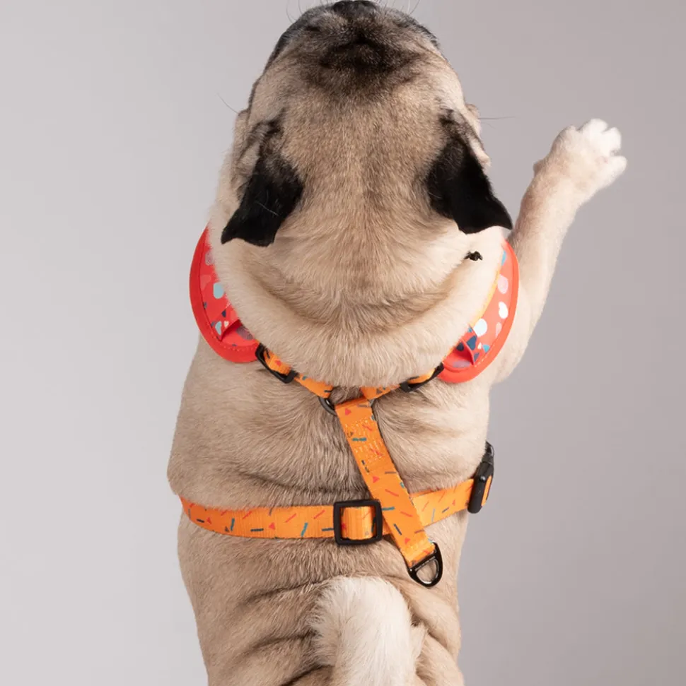 HUFT Endless Joy Printed Dog Harness
