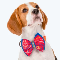 HUFT Festive Bandhej Bling Dog Bow Tie - Pink & Blue