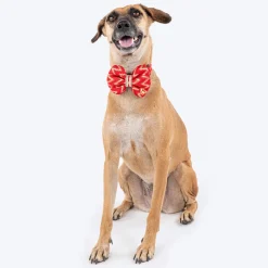 HUFT Festive Desi Glam Dog Bow Tie With Strap - Red