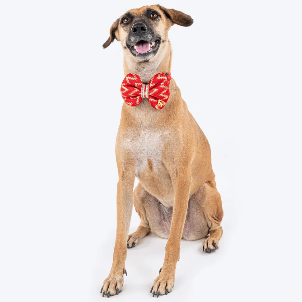 HUFT Festive Desi Glam Dog Bow Tie With Strap - Red